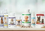Wellness Brand Reviews
